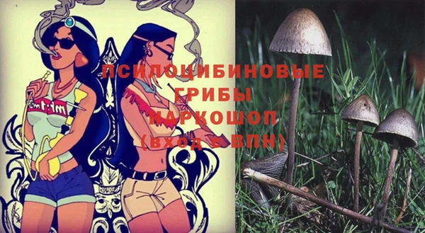 мдпв Балахна