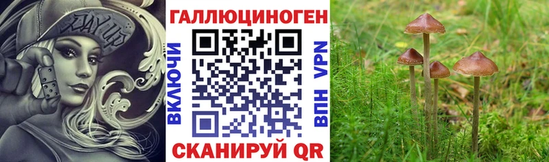 Галлюциногенные грибы мицелий  Высоцк 